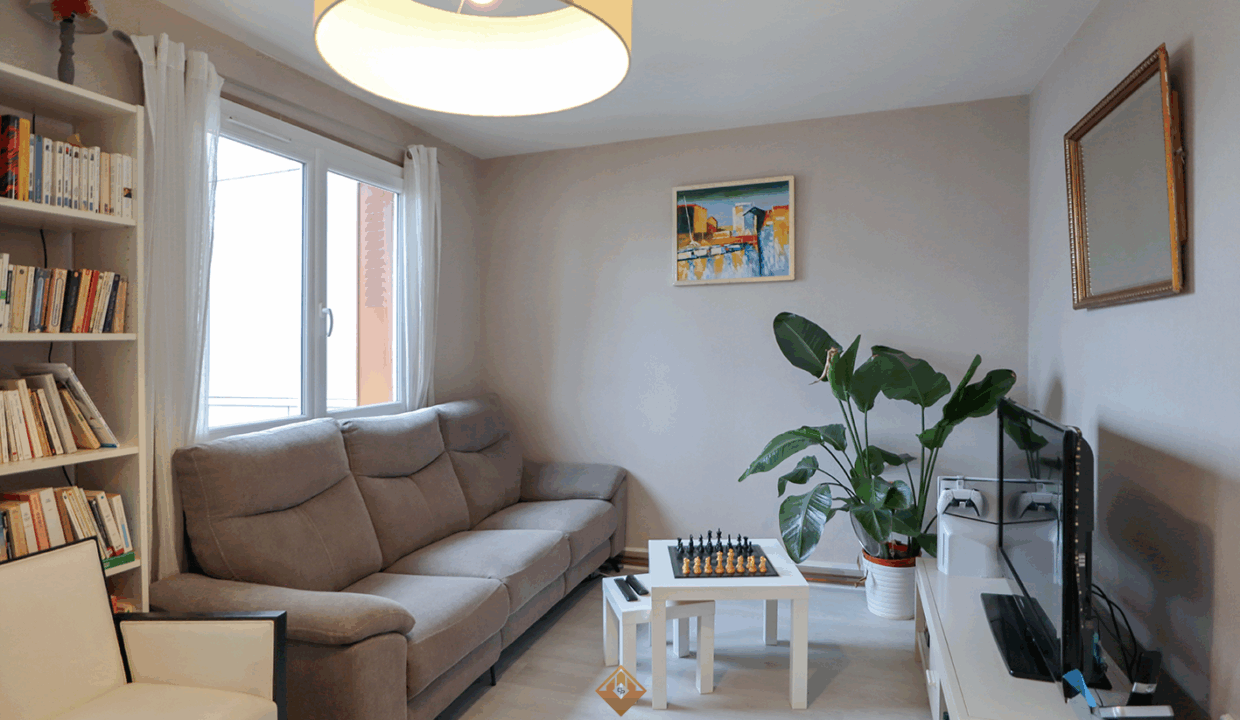 immobilier-grenoble.jpg-1