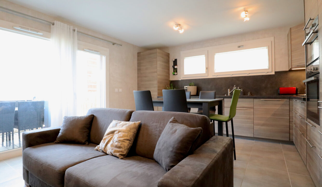 immobilier-grenoble-1