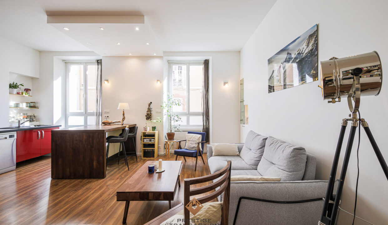 immobilier-grenoble-1