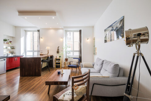 immobilier-grenoble-1