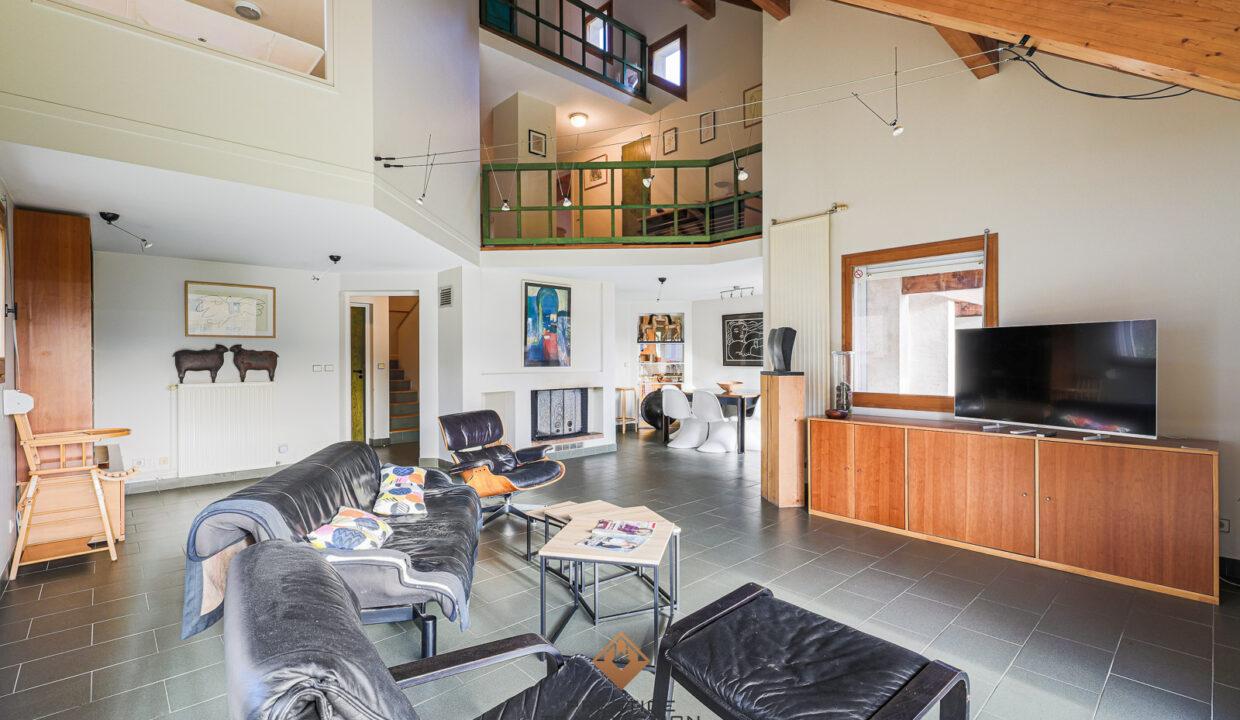 immobilier-grenoble-1