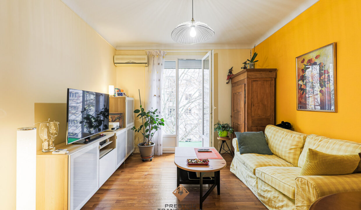 immobilier-grenoble-1