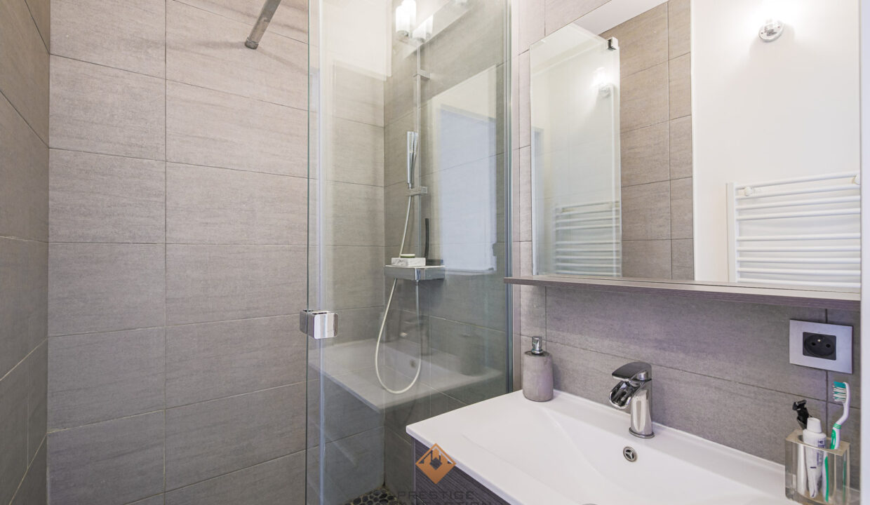 immobilier-grenoble-10