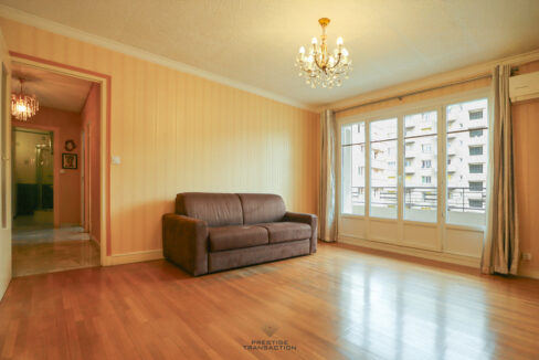 immobilier-grenoble