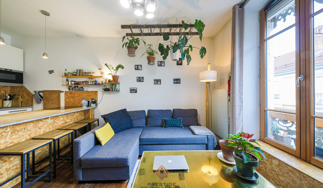 immobilier-grenoble-2