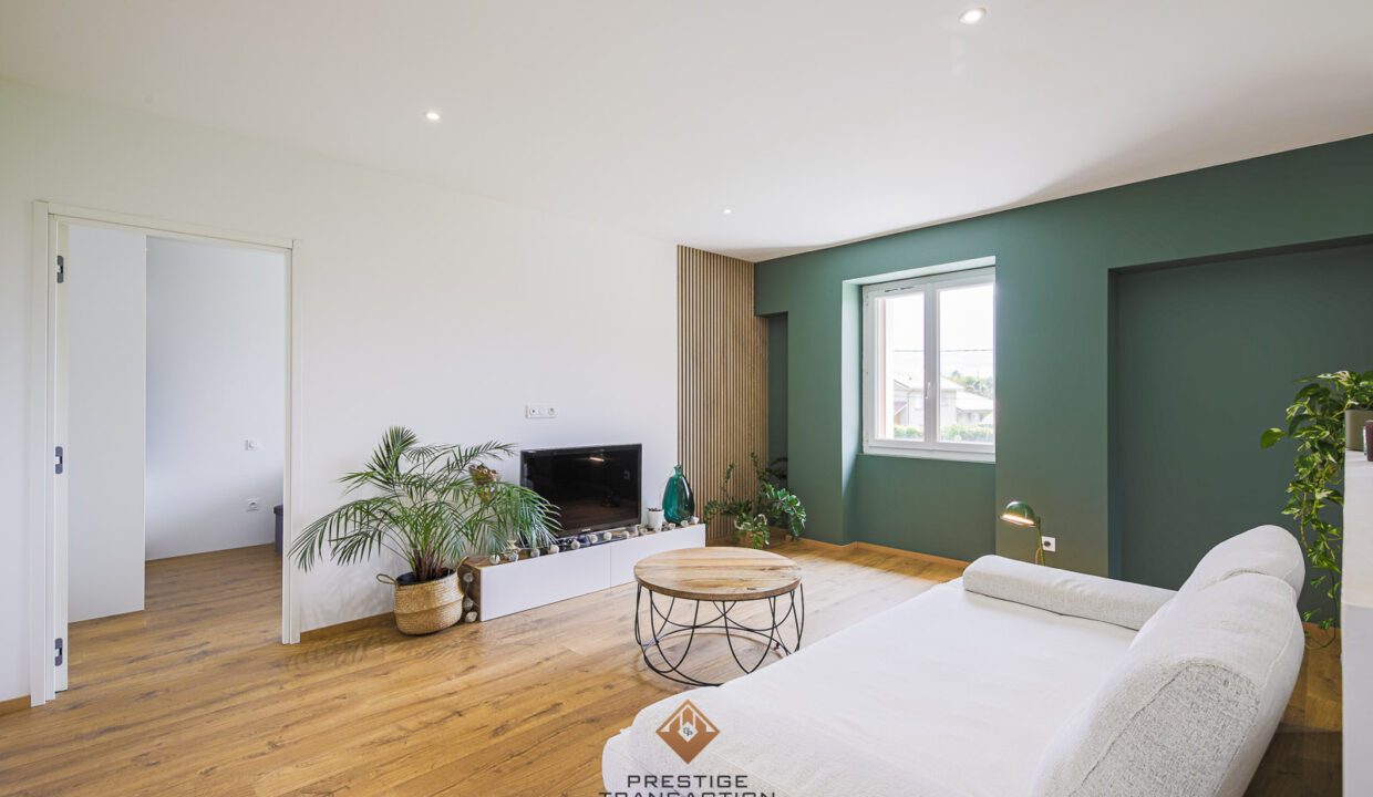 immobilier-grenoble-3