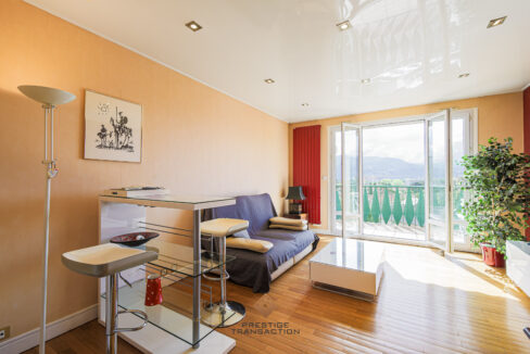 immobilier-grenoble-3