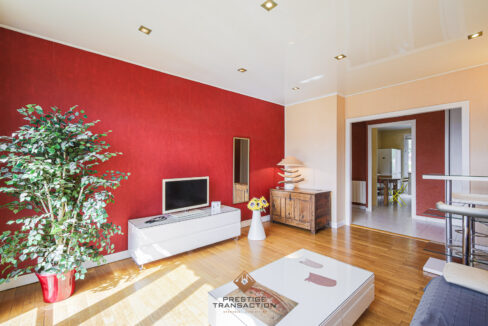 immobilier-grenoble-4