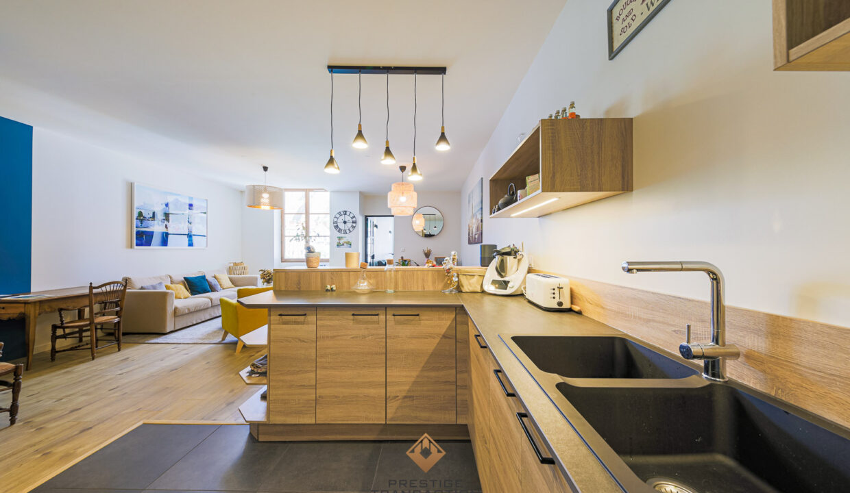 immobilier-grenoble-4