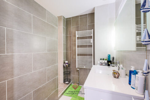 immobilier-grenoble-6