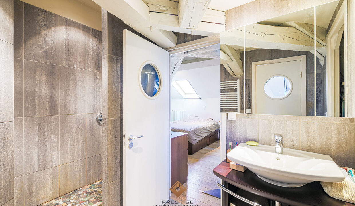 immobilier-grenoble-6