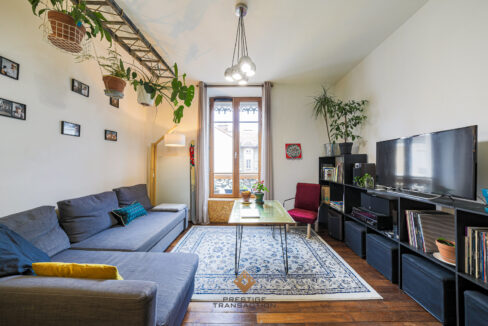 immobilier-grenoble