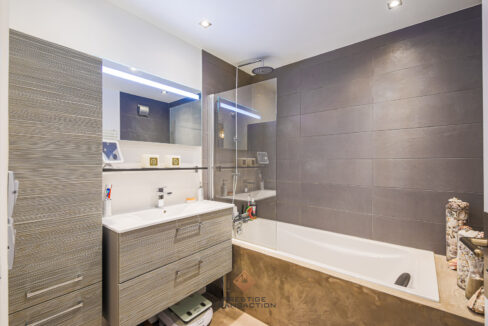 immobilier-grenoble-7