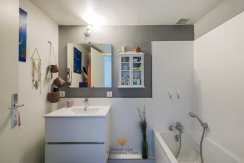 immobilier-grenoble-8