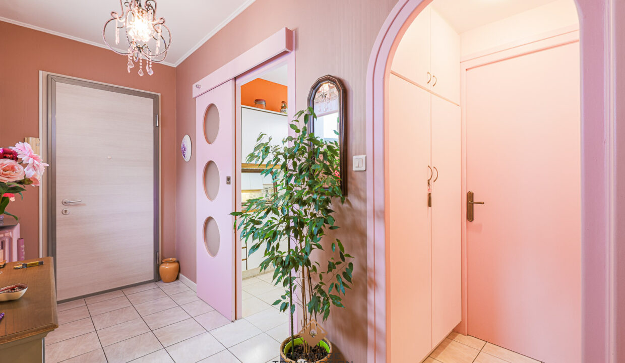 immobilier-grenoble-9