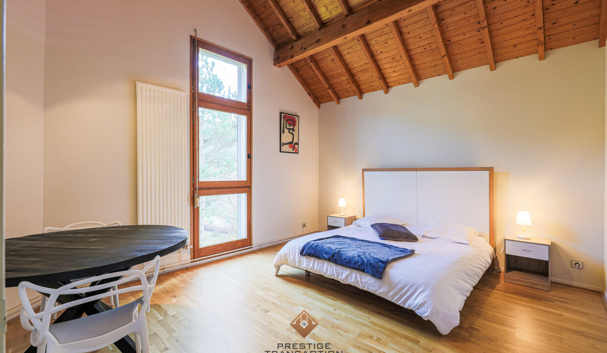 immobilier-grenoble-9