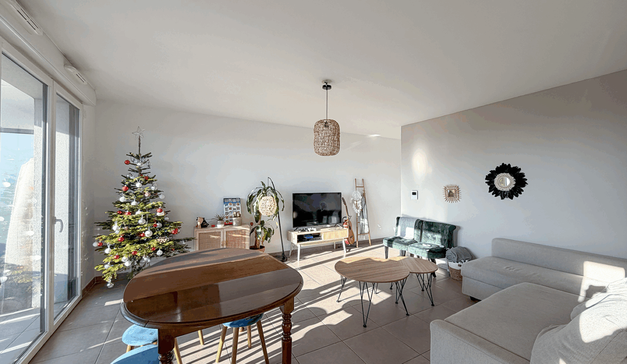 immobilier-grenoble.jpg-1