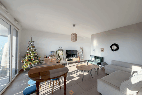 immobilier-grenoble.jpg-1