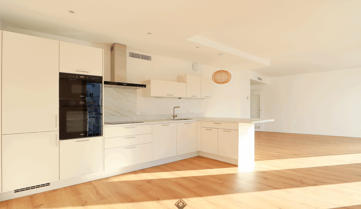 immobilier-grenoble.jpg-1