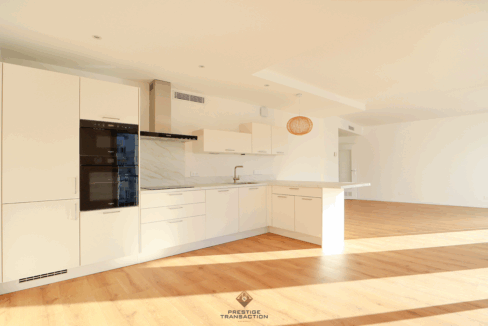 immobilier-grenoble.jpg-1