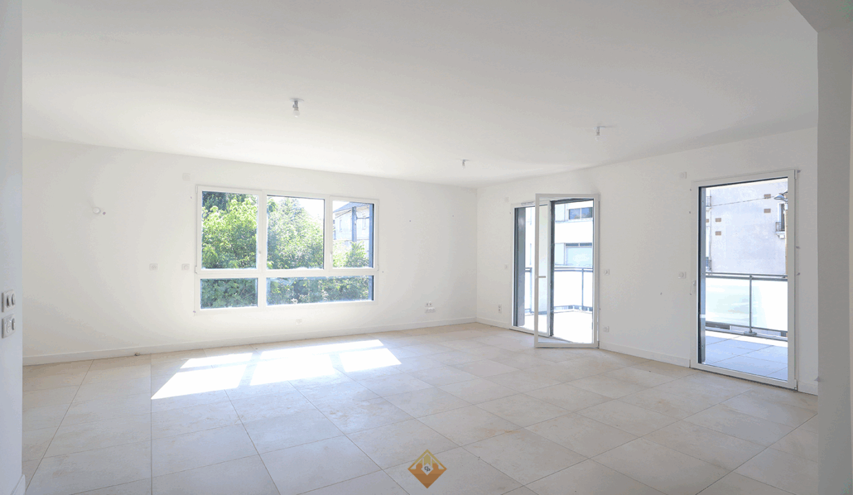 immobilier-grenoble.jpg-2