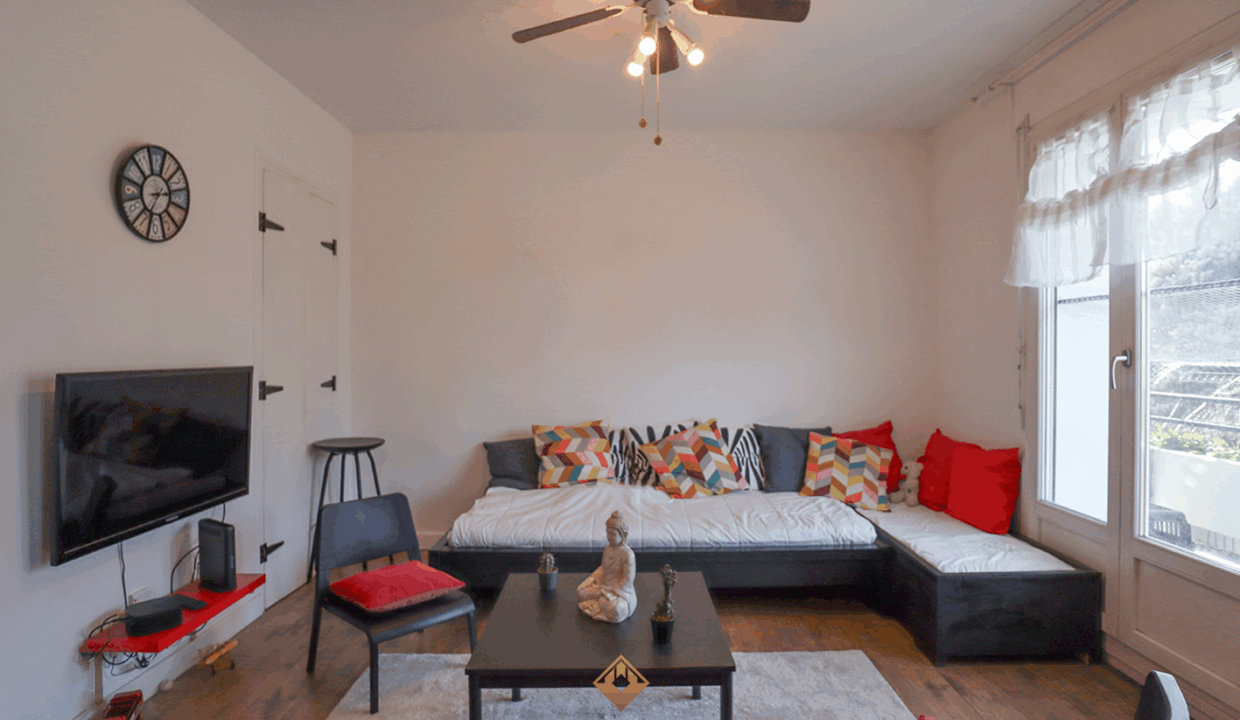 immobilier-grenoble.jpg-3