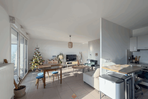 immobilier-grenoble.jpg-3