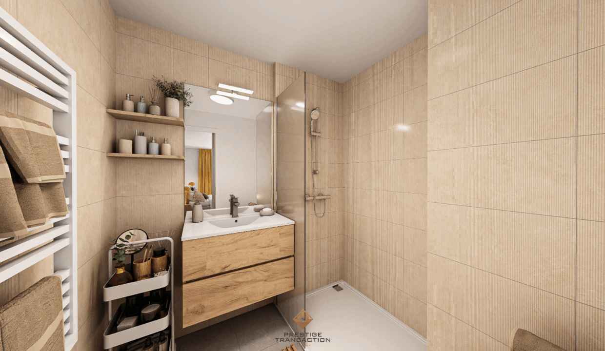 immobilier-grenoble.jpg-6