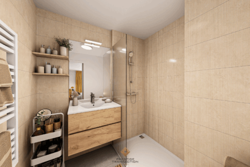 immobilier-grenoble.jpg-6