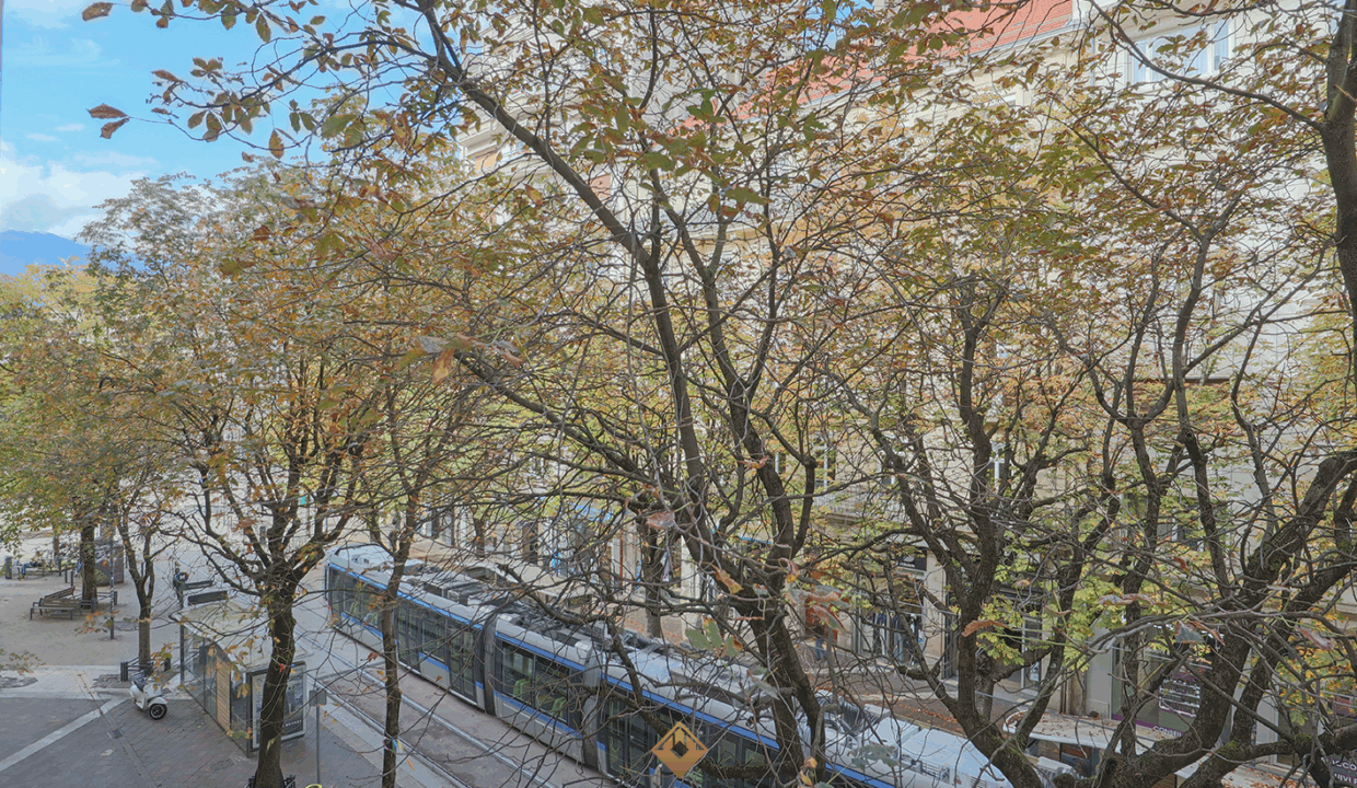 immobilier-grenoble.jpg-7