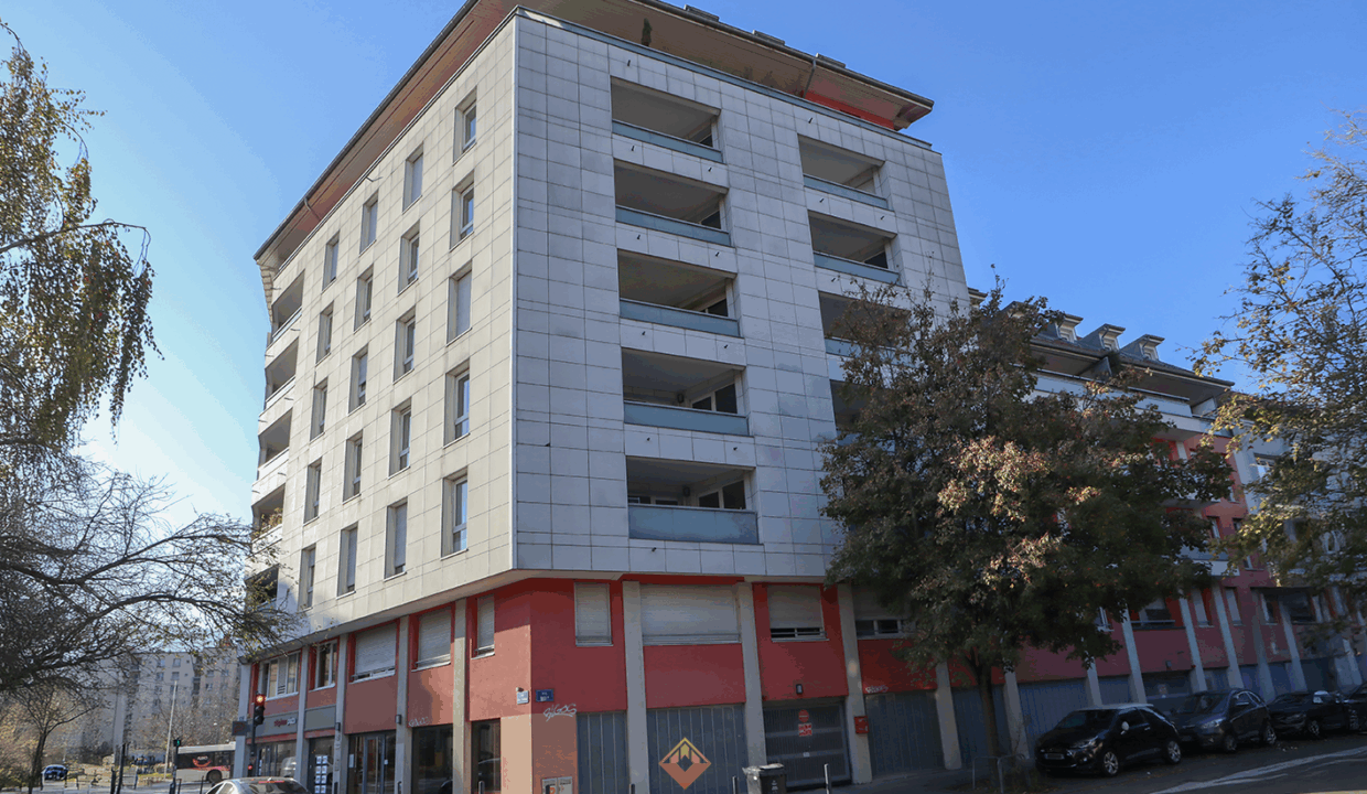 immobilier-grenoble.jpg-8