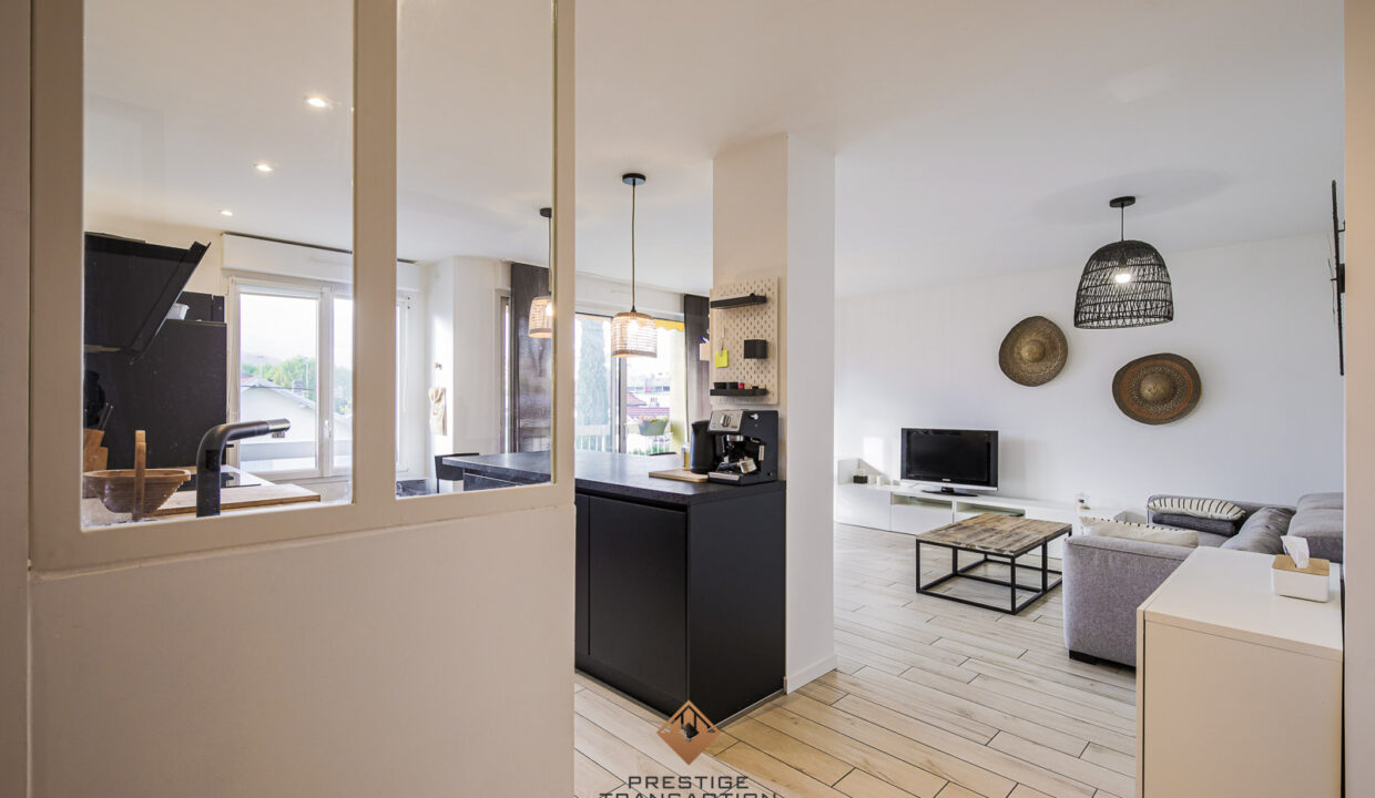 immobilier-grenoble-1