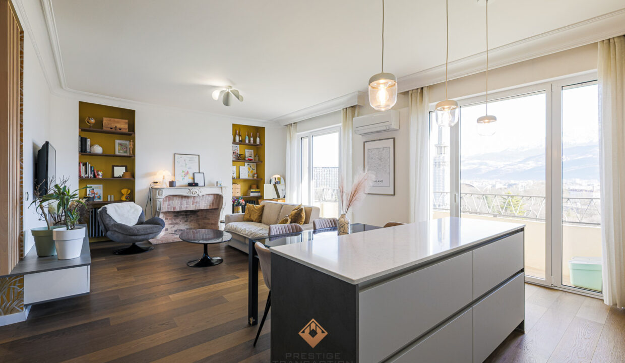 immobilier-grenoble