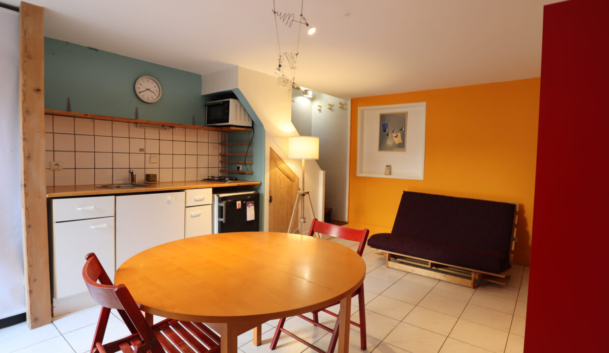 immobilier-grenoble