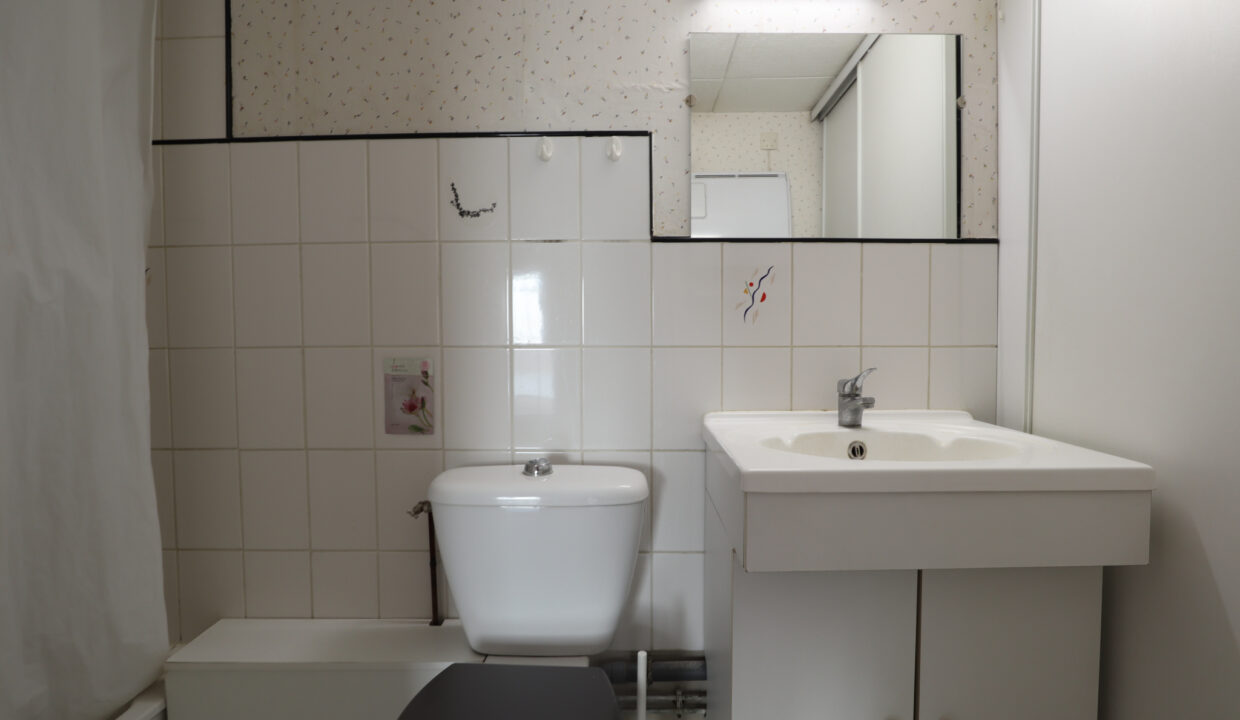 immobilier-grenoble-3