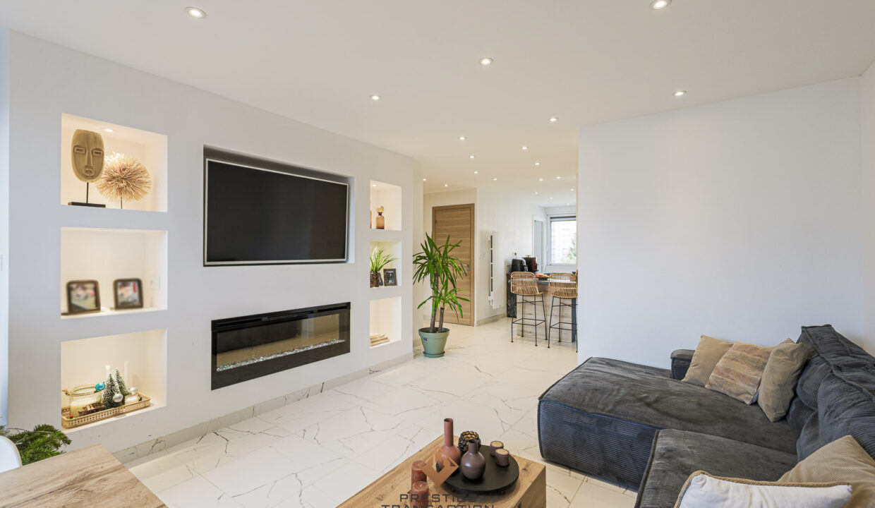 immobilier-grenoble-3