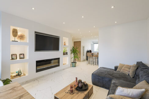 immobilier-grenoble-3