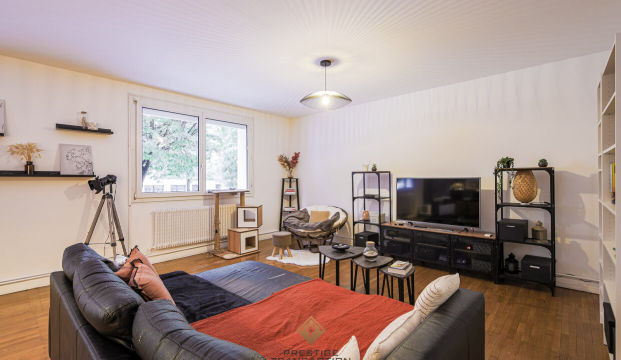 immobilier-grenoble-3