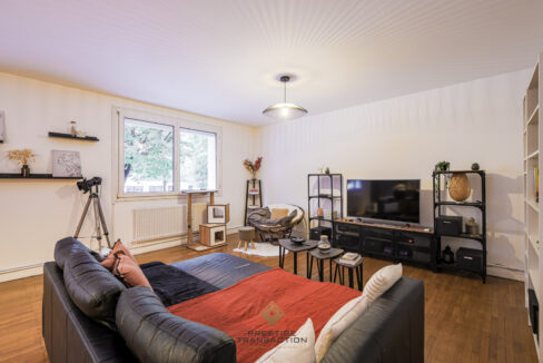 immobilier-grenoble-3