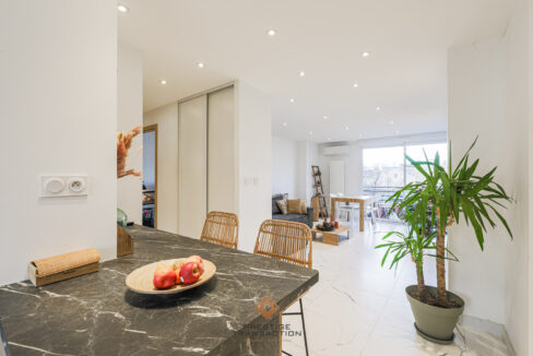 immobilier-grenoble-4