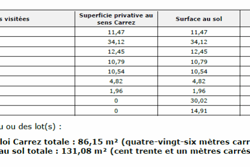 immobilier-grenoble.jpg-16