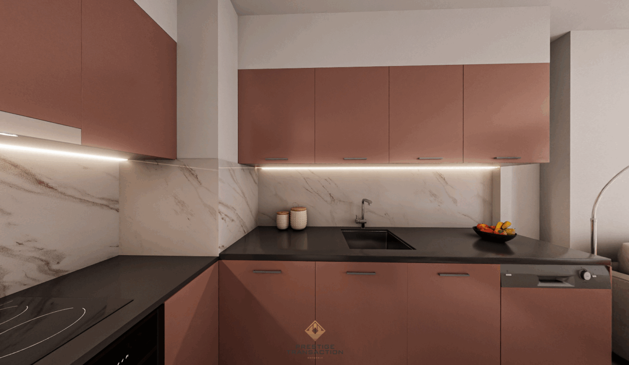 immobilier-grenoble.jpg-2