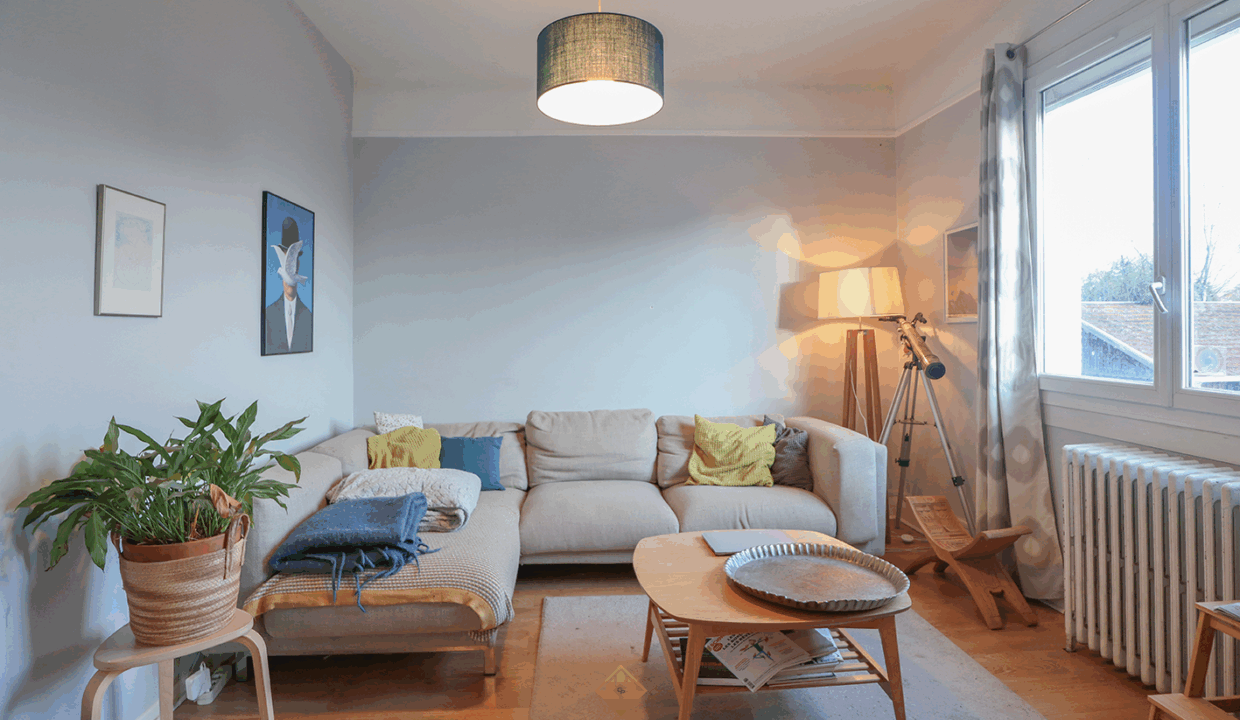 immobilier-grenoble.jpg-2