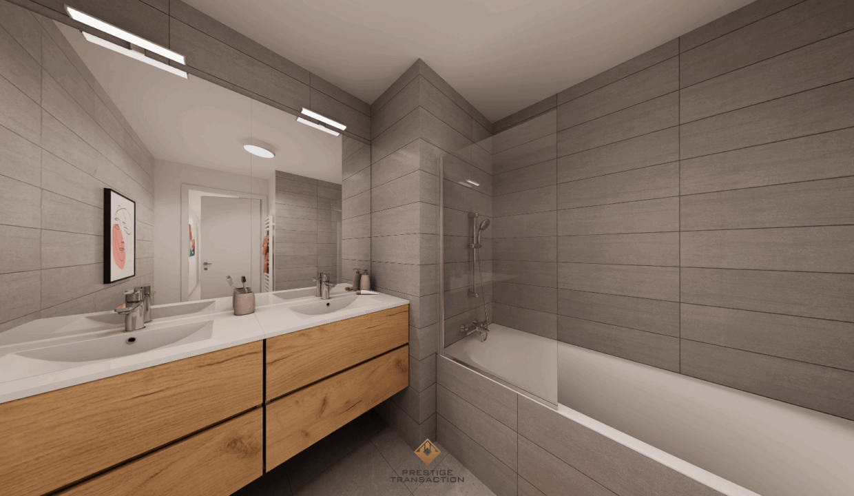 immobilier-grenoble.jpg-3